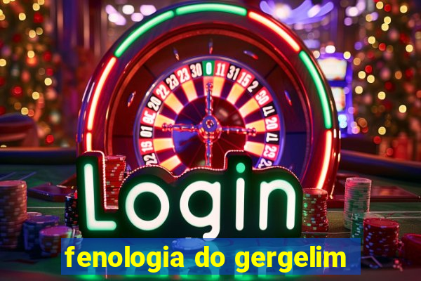 fenologia do gergelim