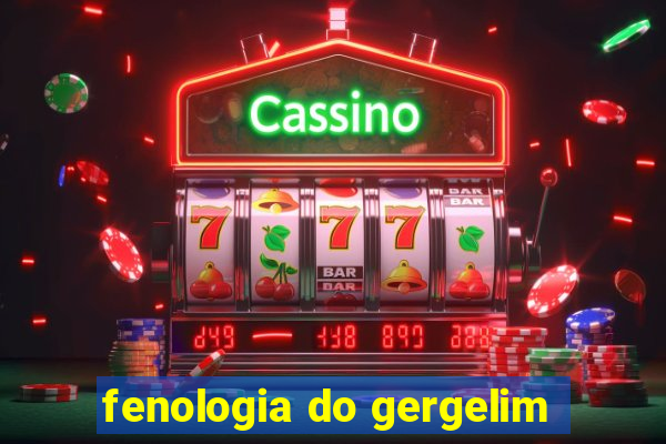 fenologia do gergelim