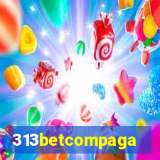 313betcompaga