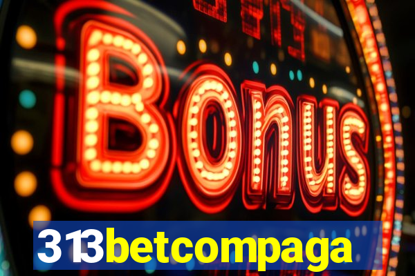 313betcompaga