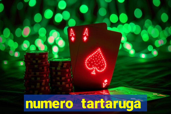 numero tartaruga jogo do bicho