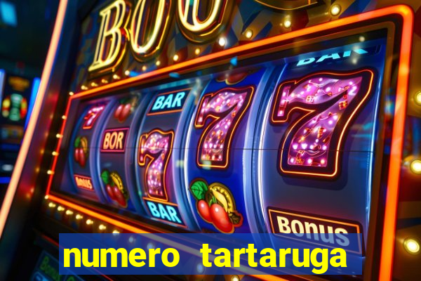 numero tartaruga jogo do bicho