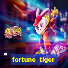 fortune tiger cassino pix