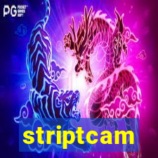 striptcam