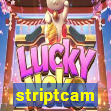 striptcam