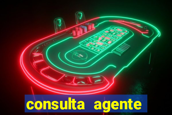 consulta agente autuador sp