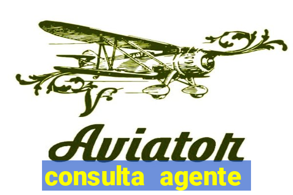 consulta agente autuador sp