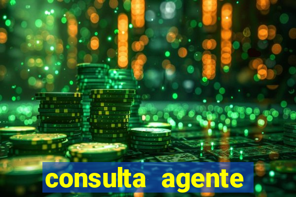 consulta agente autuador sp