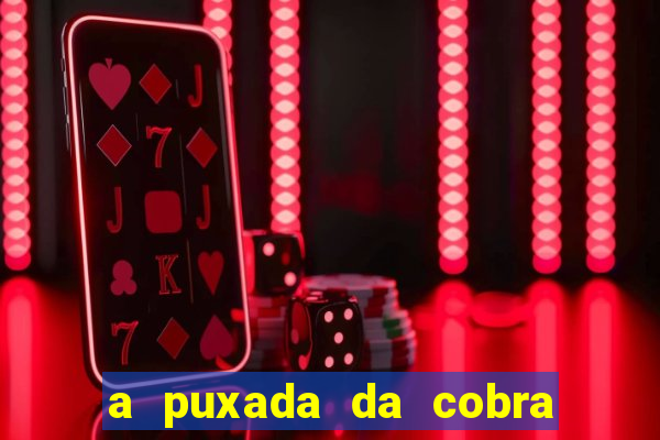 a puxada da cobra no jogo do bicho