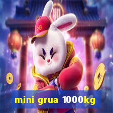 mini grua 1000kg