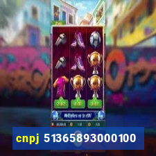 cnpj 51365893000100