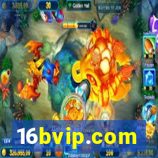 16bvip.com