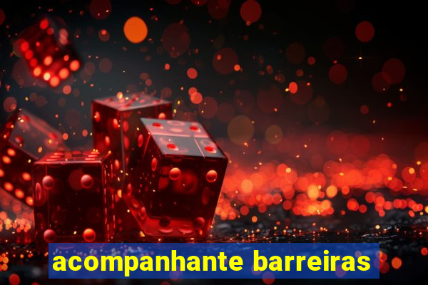 acompanhante barreiras