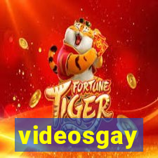 videosgay