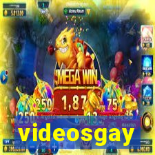 videosgay