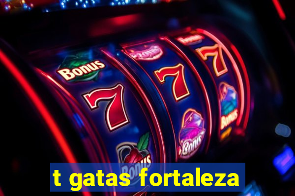 t gatas fortaleza