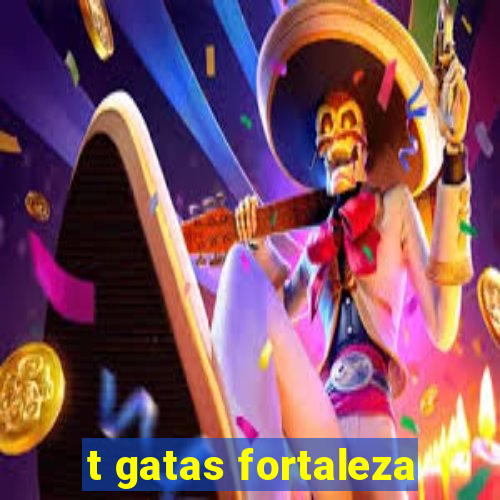 t gatas fortaleza