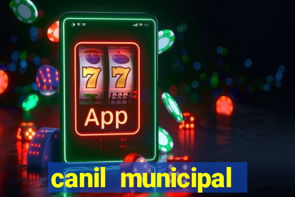 canil municipal porto alegre