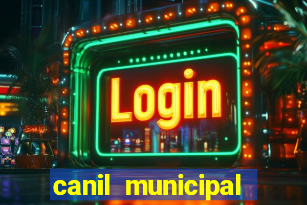 canil municipal porto alegre