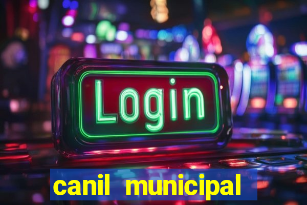 canil municipal porto alegre