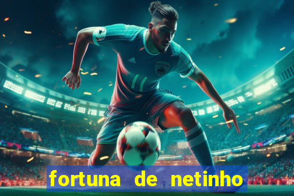 fortuna de netinho de paula