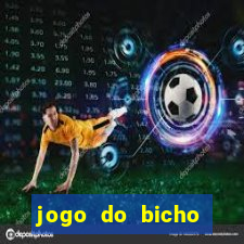 jogo do bicho documentario globoplay