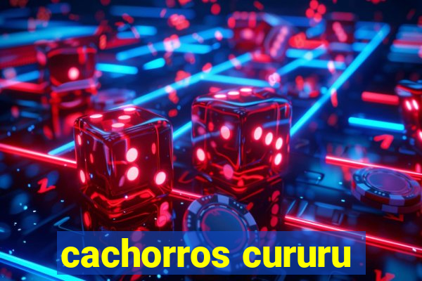 cachorros cururu