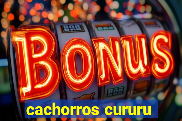 cachorros cururu