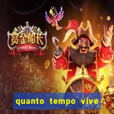 quanto tempo vive um passarinho bem-te-vi