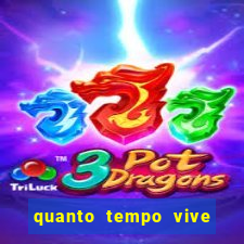 quanto tempo vive um passarinho bem-te-vi