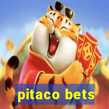 pitaco bets