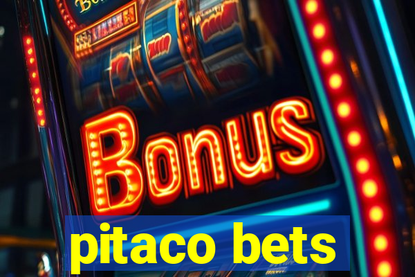 pitaco bets