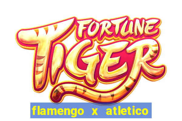 flamengo x atletico mineiro futemax