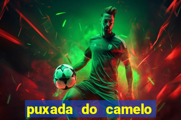 puxada do camelo jogo do bicho