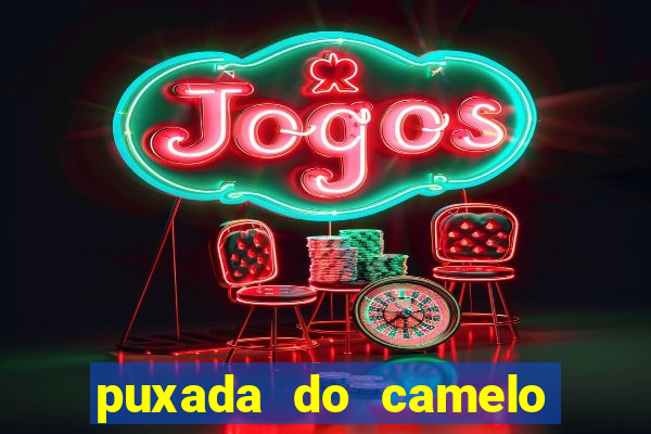 puxada do camelo jogo do bicho