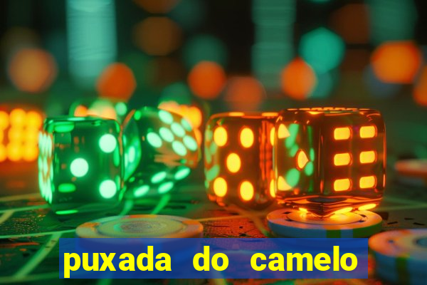 puxada do camelo jogo do bicho