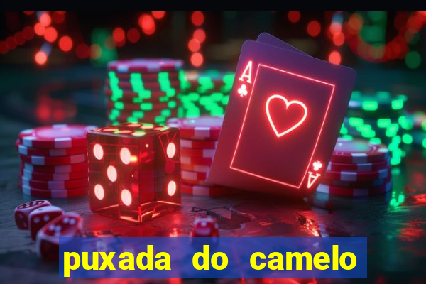 puxada do camelo jogo do bicho