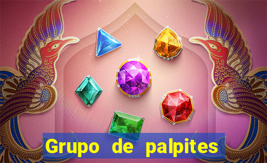 Grupo de palpites de futebol gratis