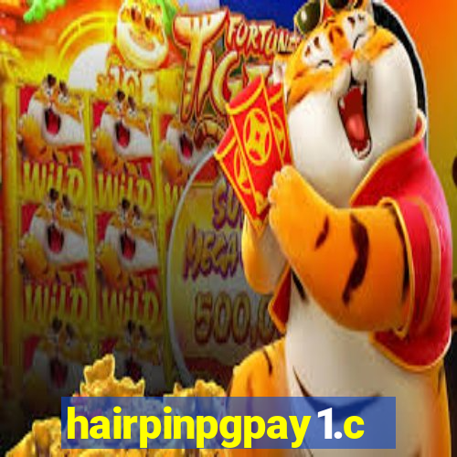 hairpinpgpay1.com