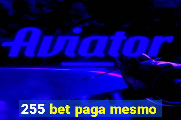 255 bet paga mesmo