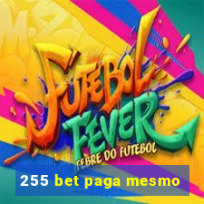 255 bet paga mesmo