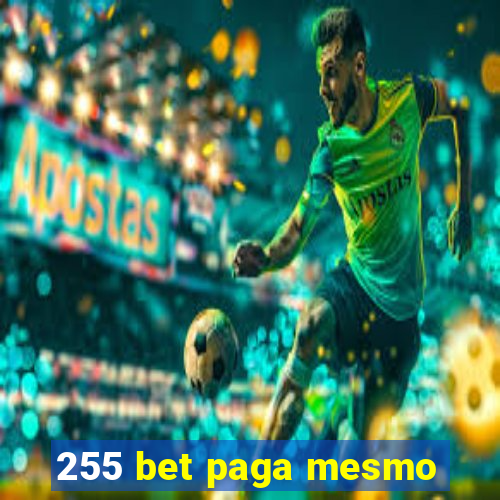 255 bet paga mesmo