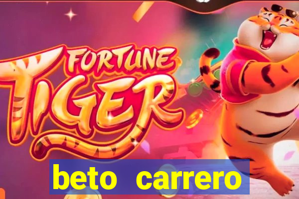 beto carrero cidades proximas