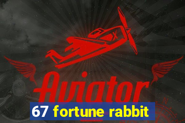 67 fortune rabbit