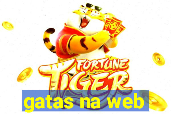 gatas na web