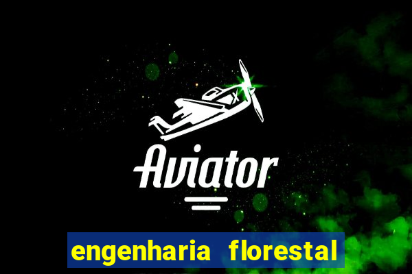 engenharia florestal ead cruzeiro do sul