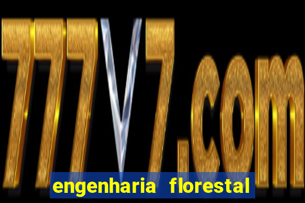 engenharia florestal ead cruzeiro do sul