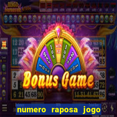 numero raposa jogo do bicho