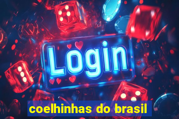 coelhinhas do brasil