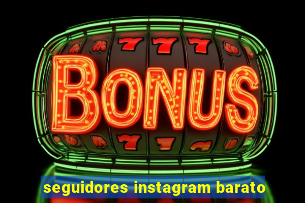 seguidores instagram barato